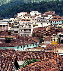 Chinique de la Flores